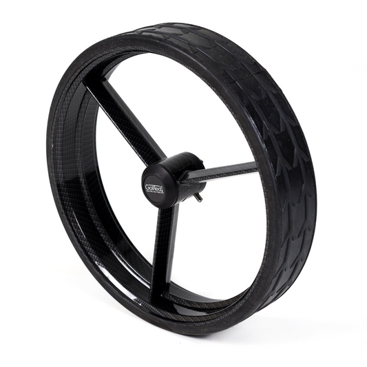 <tc>Carbon</tc> roue à grands rayons droits